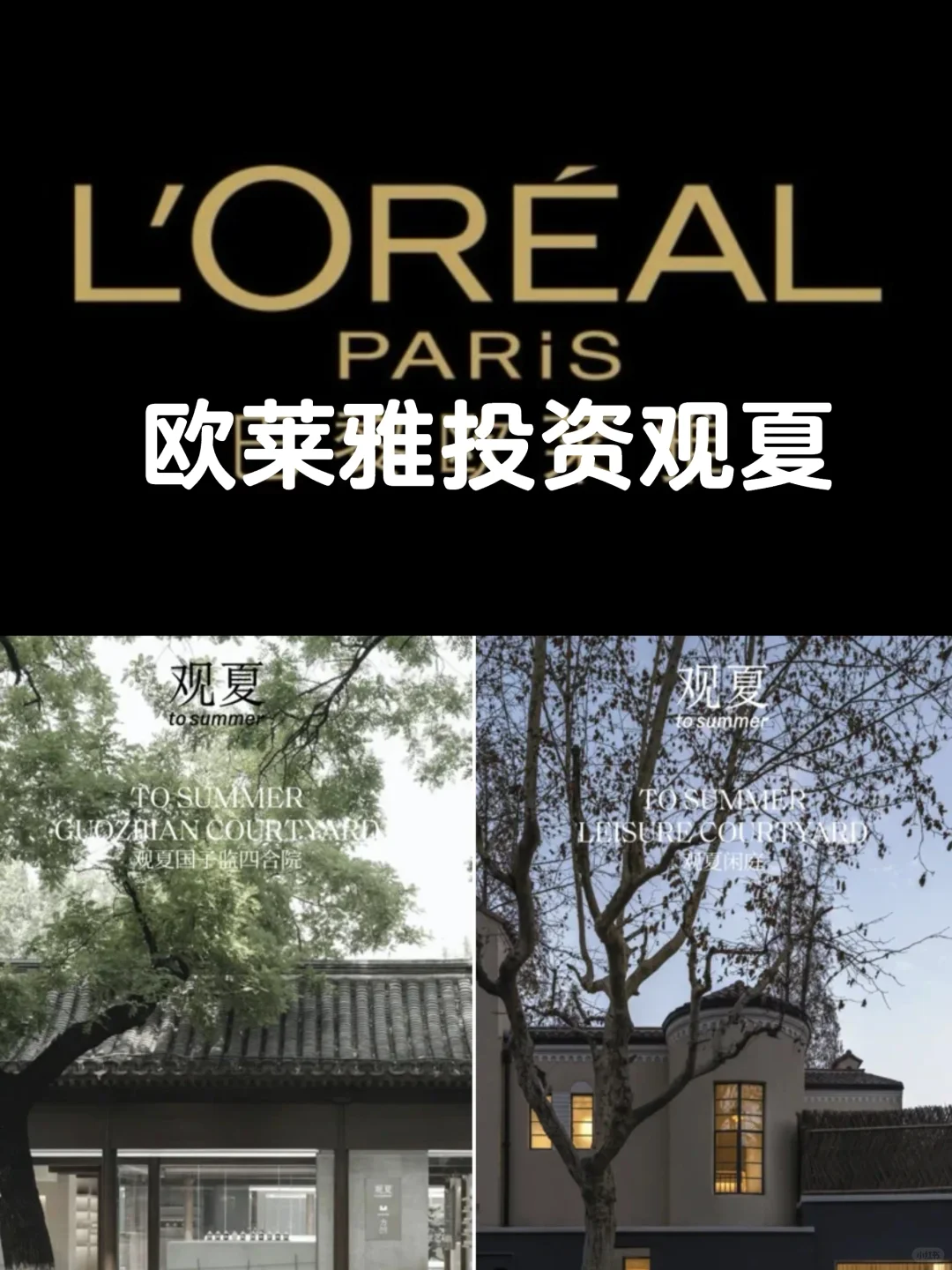 欧莱雅投资观夏…