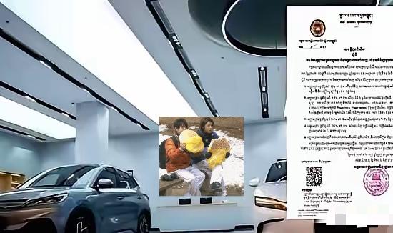 东南亚突然掀牌。柬埔寨从4月1日起，把面向中国的纯电车、充电桩、太阳能整套设备关