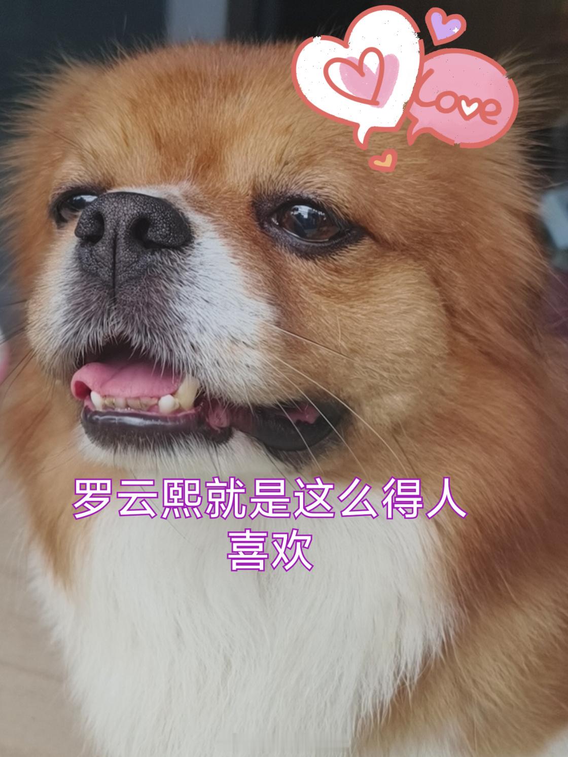 我是真的希望她会去出发，会去做这个事情  同时也希望会有回应，当然我知道回应可能