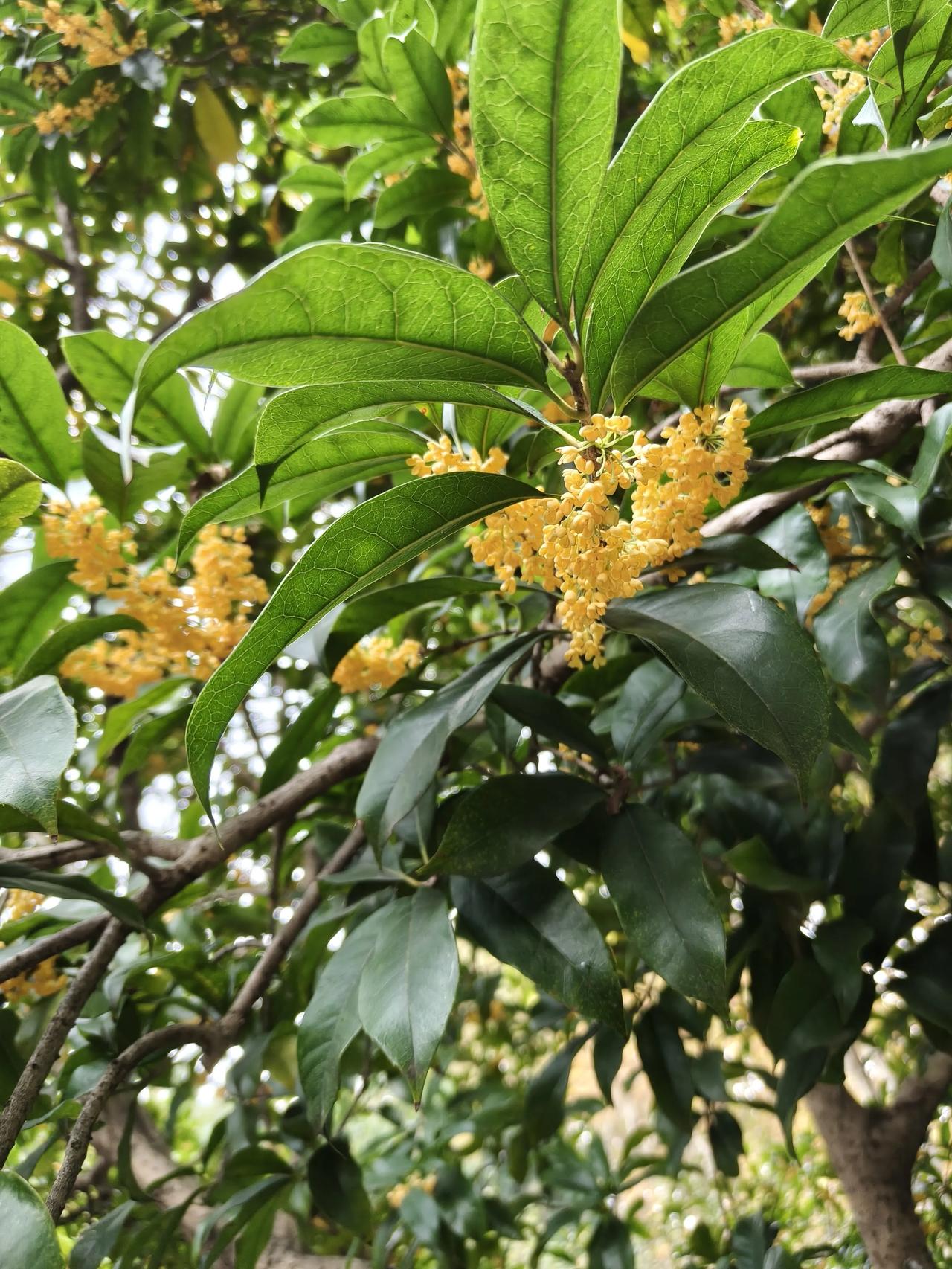 花草🌿日记～🌸🌸🌸🌸

和平公园随手拍实景图分享！

花花🌸草草🌿