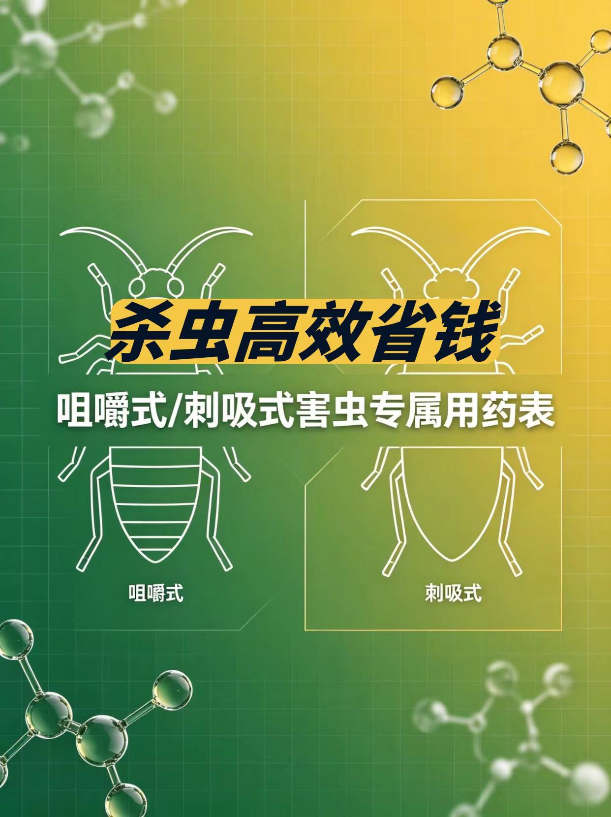 杀虫高效省钱！咀嚼式/刺吸式害虫专属用药。杀虫高效 省钱 咀嚼式