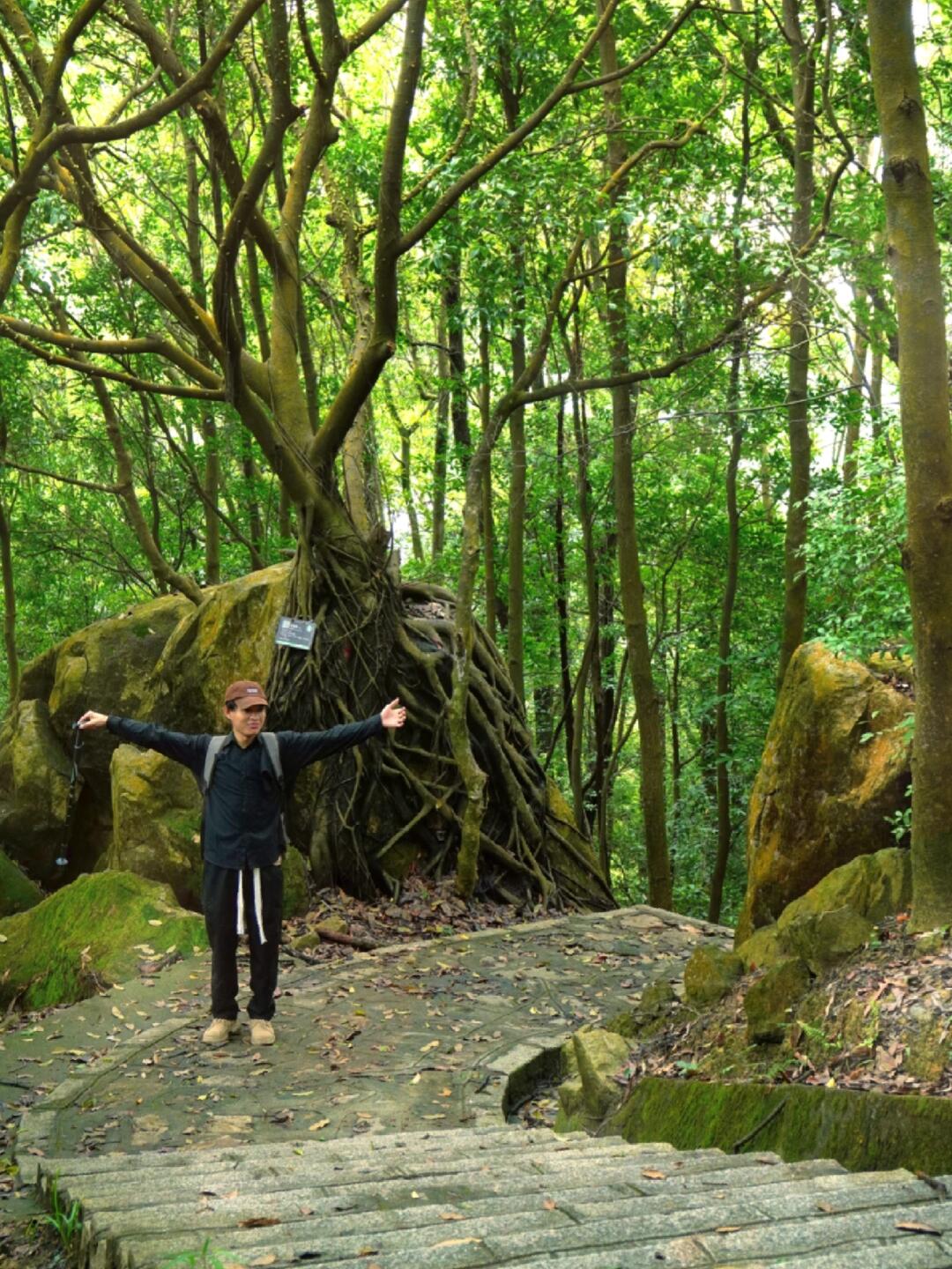 我愿称之为“东莞最治愈的森林徒步”