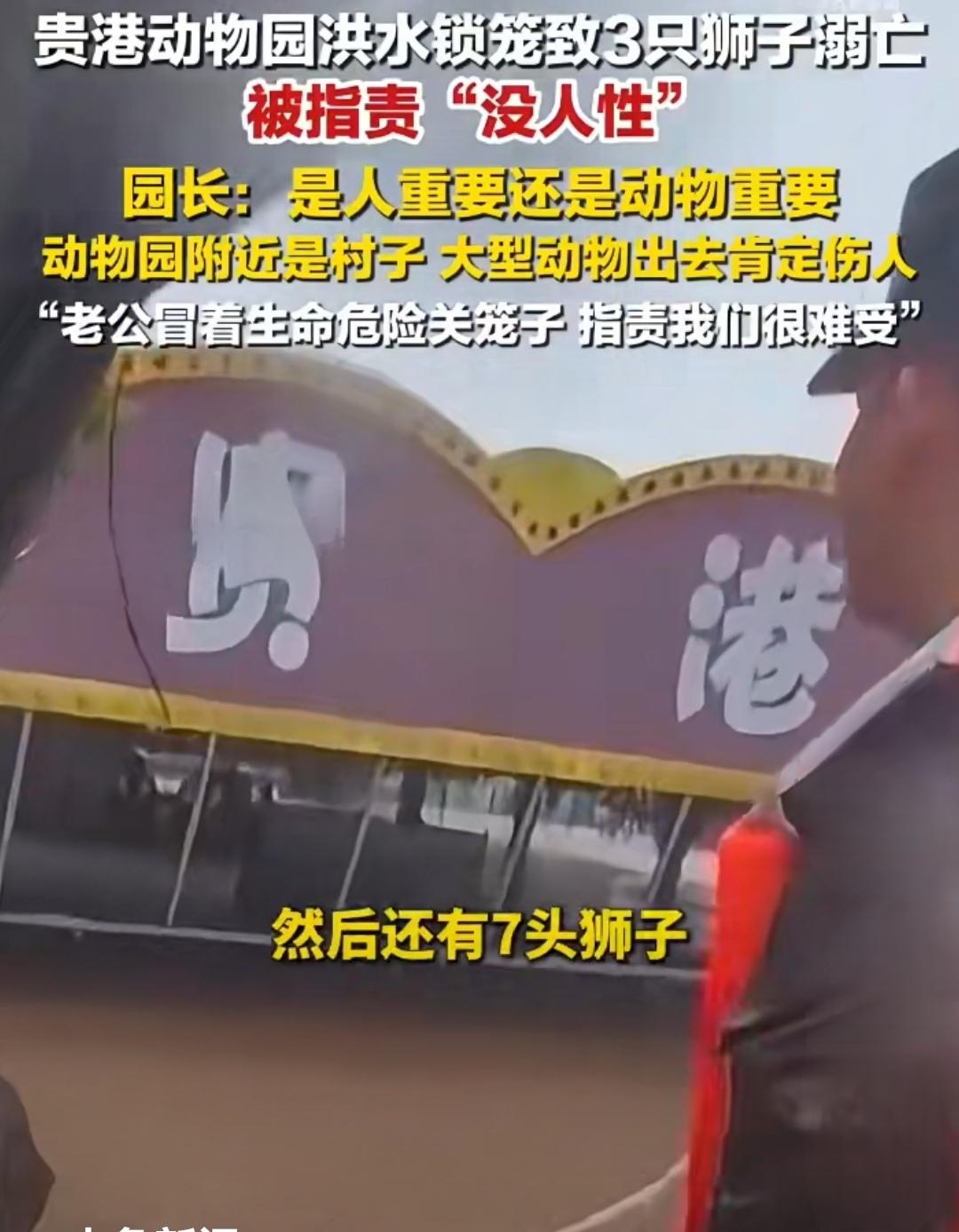 让狮子和熊咬死喷子才叫有人性是吗？

那些在网上喷贵港动物园锁住狮子和熊的喷子们
