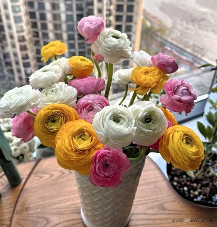 周一早安[烟花]
新的一天[烟花]
新的开始[烟花]
带着满满的正能量
让每一个