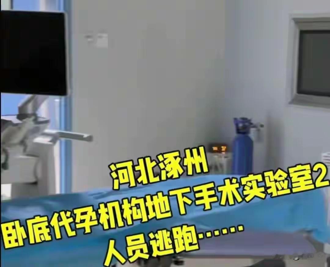 年轻女孩被高额报酬诱骗！上官正义卧底半年，涿州乡村厂房揪出地下代孕实验室。
 
