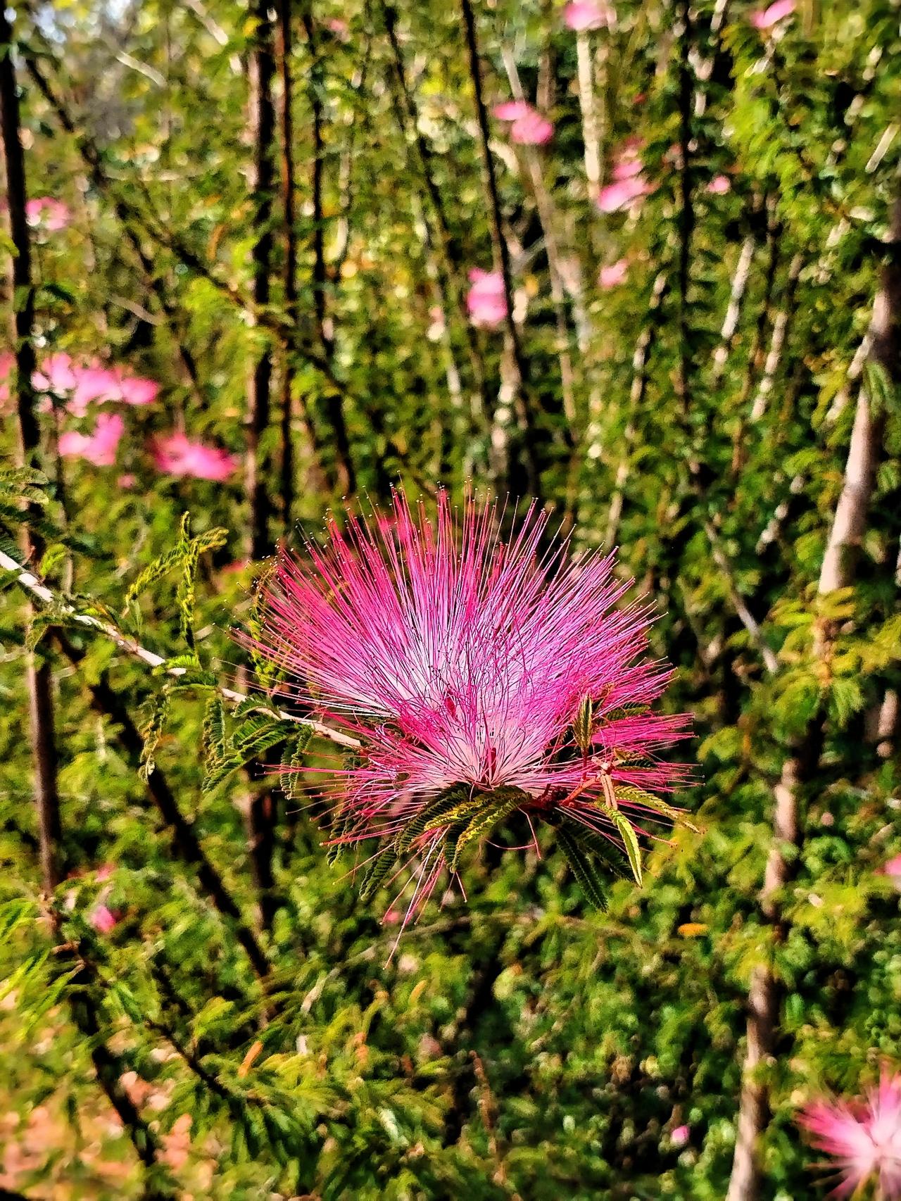 春日生活打卡季 春日已至，正是享受生活的好时候。惊蛰时节，来一道菠菜炒蛋再合适不