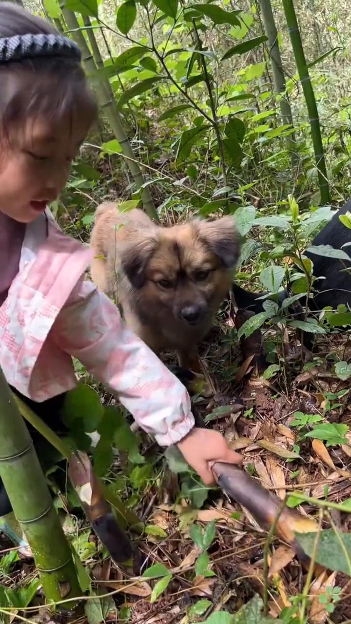 好狗，给我。好狗，你朝高头搬怎么搬动？这个好安逸。耗子别抢人家的功劳，耗子抢功了