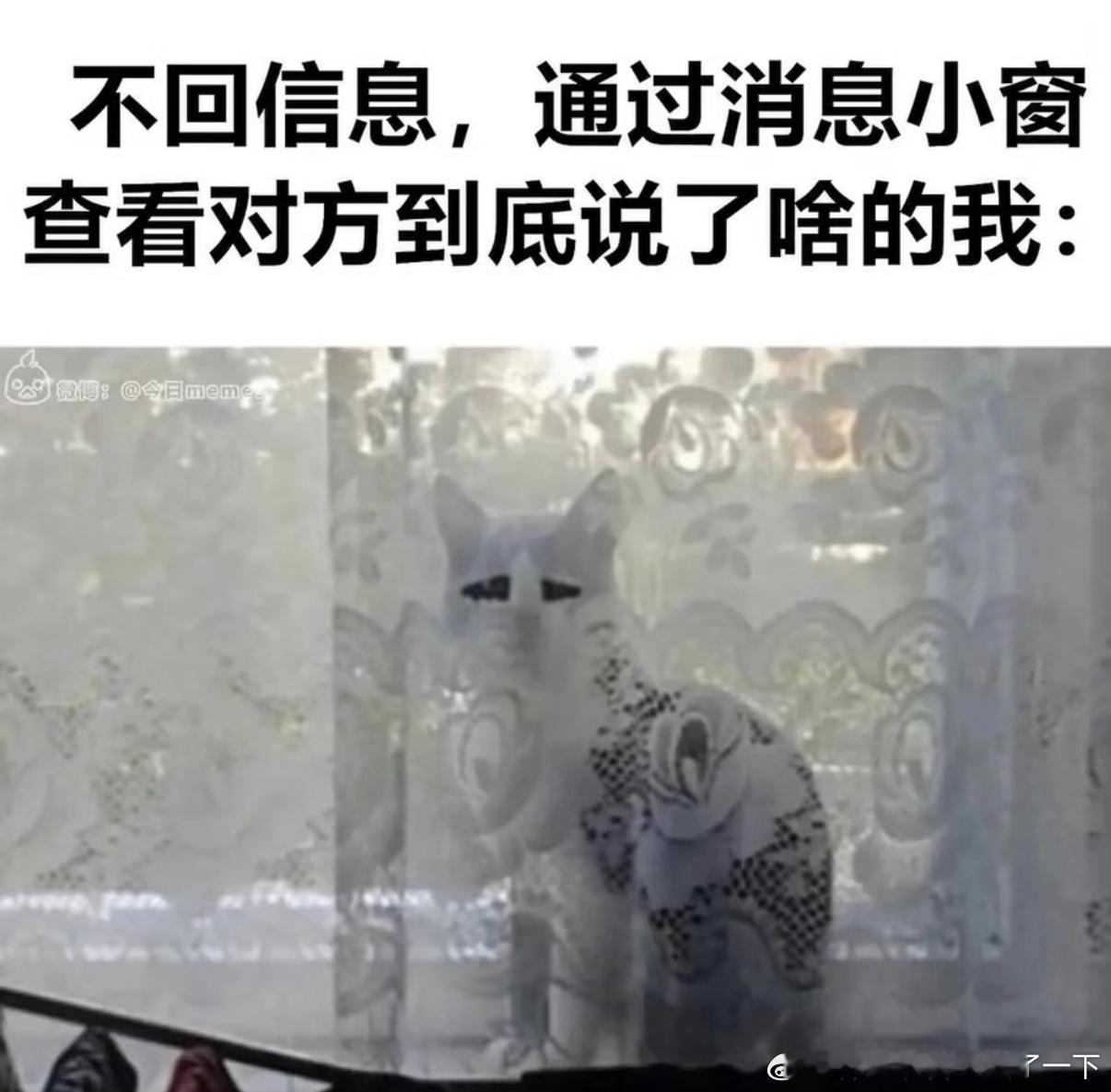 5485哈哈哈演我 ​​​