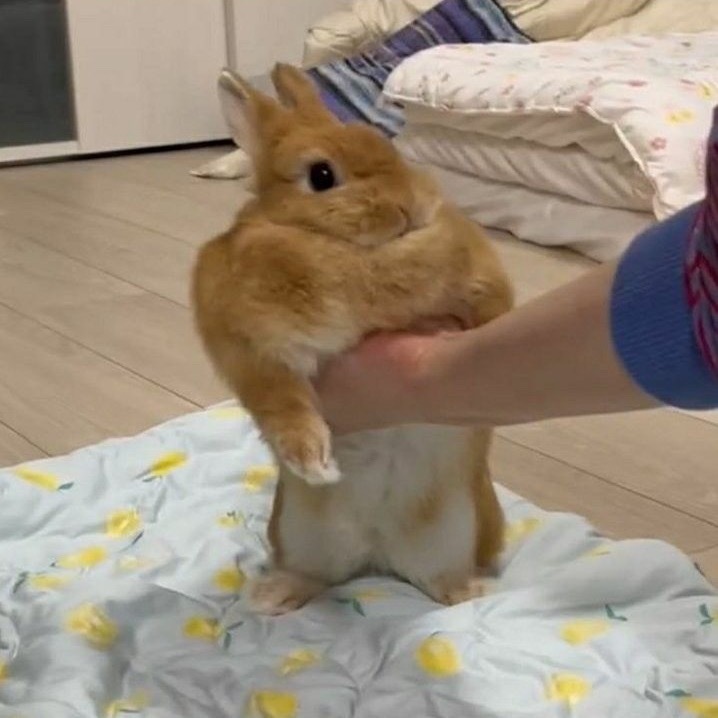 龟龟我找到自己的文文了 