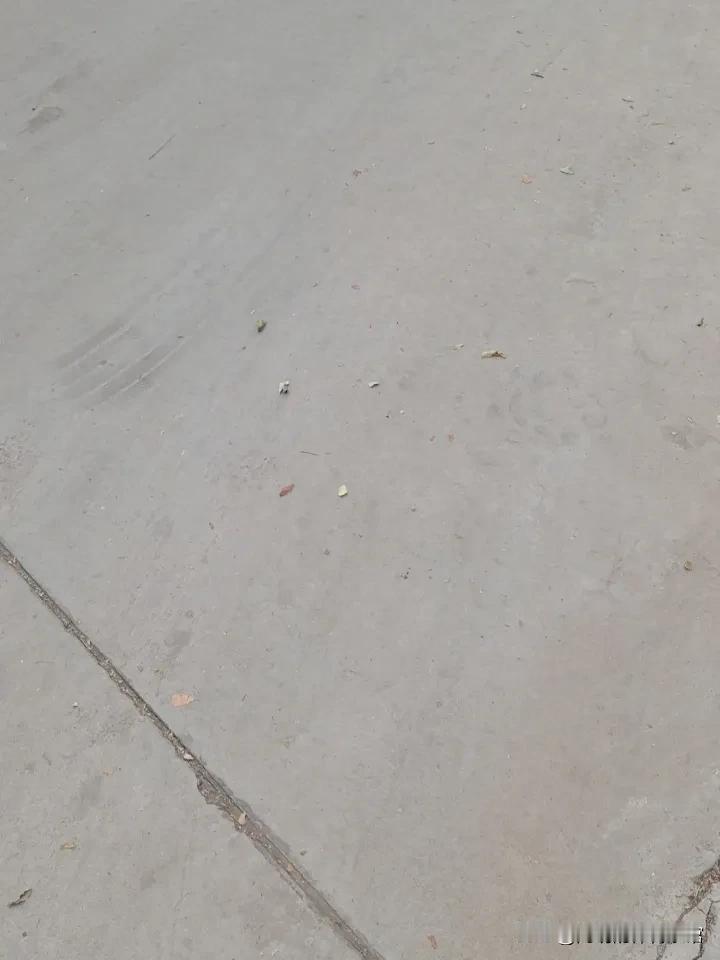 海牛外援兰克尔-泽，那些让人头疼的事。
他这个人吧，事儿挺多的，所有人都觉得他以