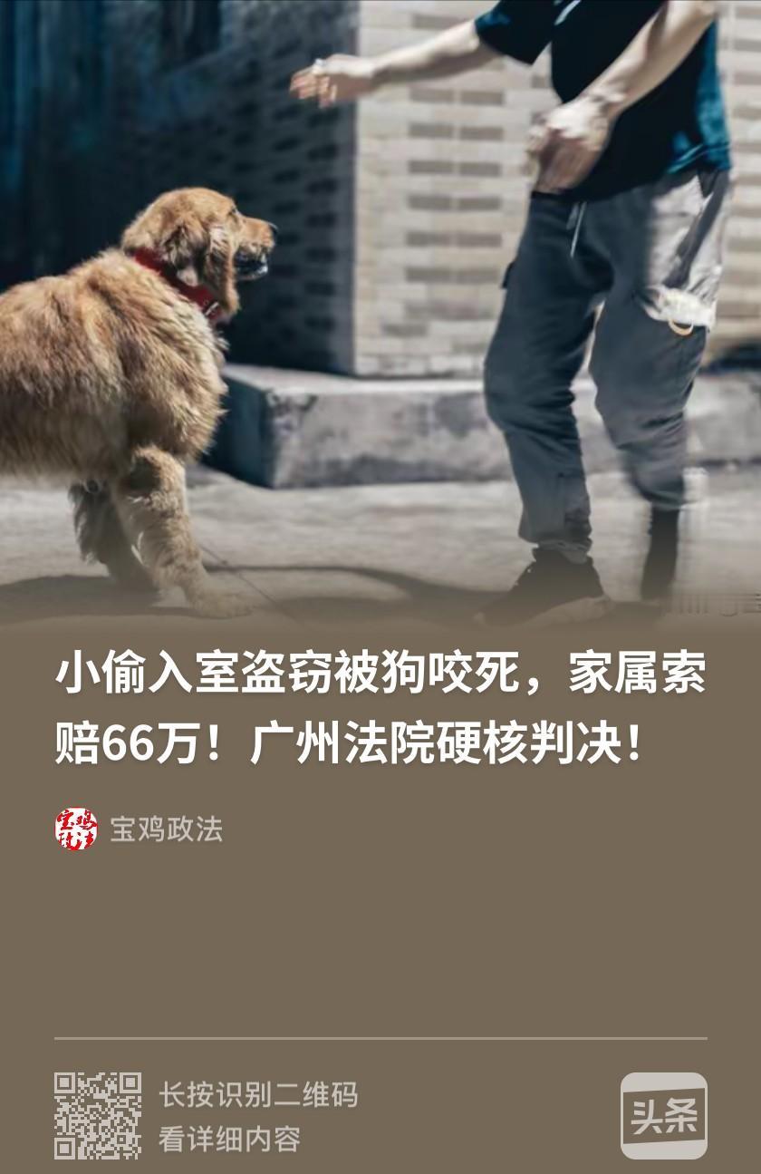 法不能向不法低头！广东，男子半夜翻墙进入独栋别墅准备盗窃，结果被院内饲养的2条狼