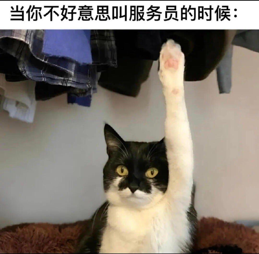 你好 梗图[超话]趣图[超话]meme ​​​