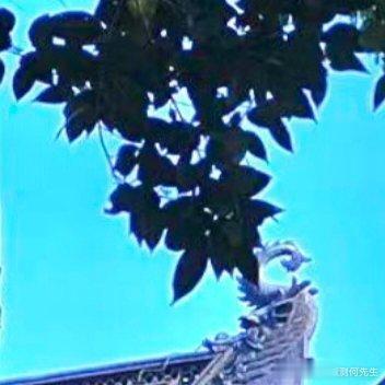 家居布局乱光线强会让大家的健康出现一些问题，这种时候大家面对生活是容易出现失眠的