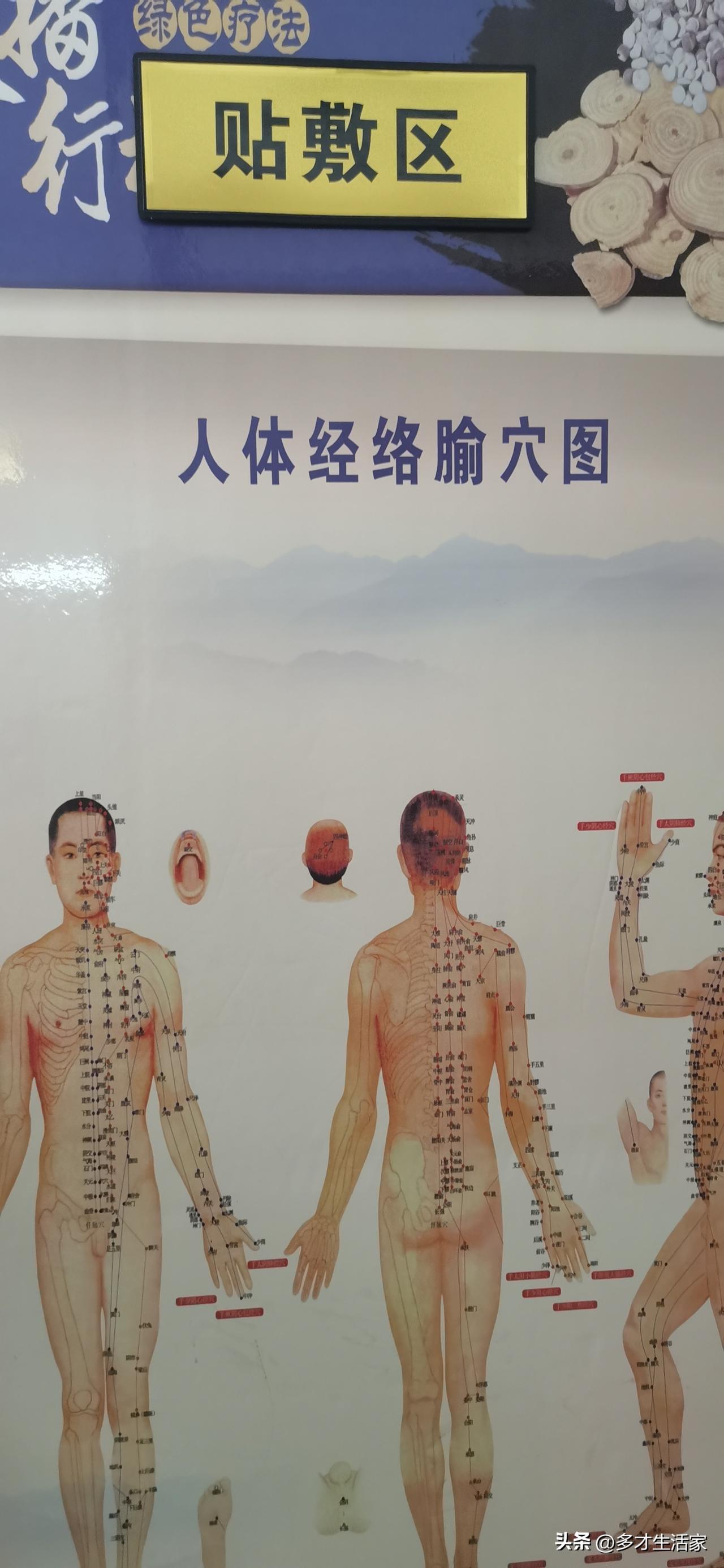 入伏了！最近去保安堂中医管，那场面真叫一个壮观！从白发苍苍的爷爷奶奶，到几岁的小