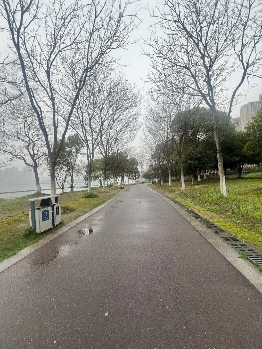 🏃‍♀️跑步打卡｜今天是5公里