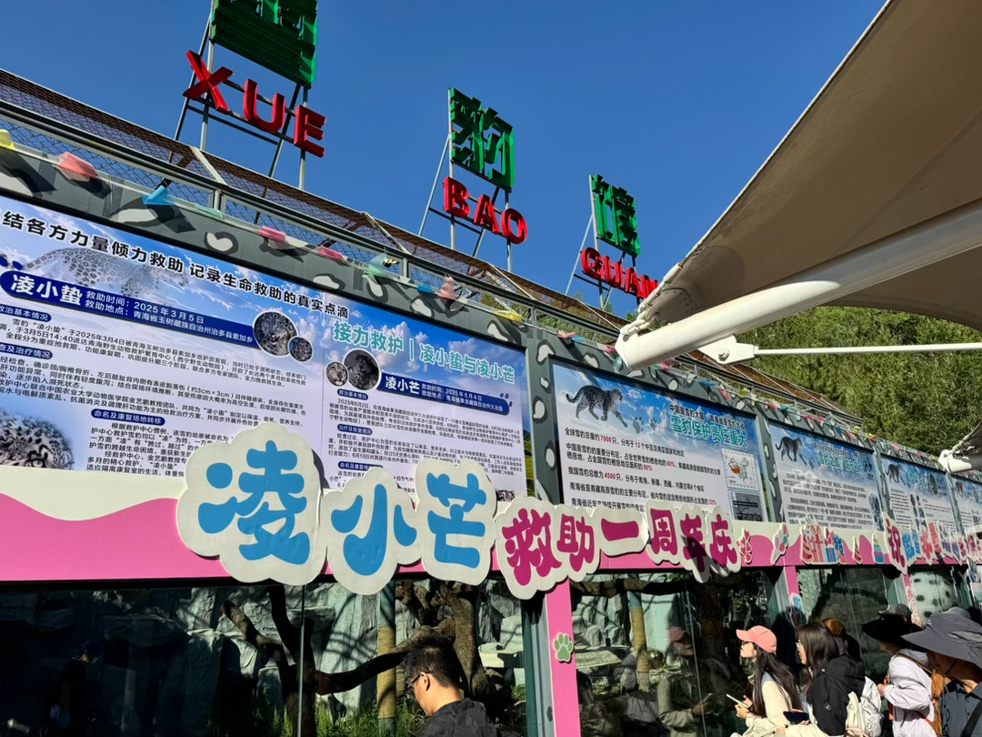 看看网红凌小芒 西宁·青藏高原野生动物园