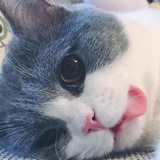 拂云热聚体育