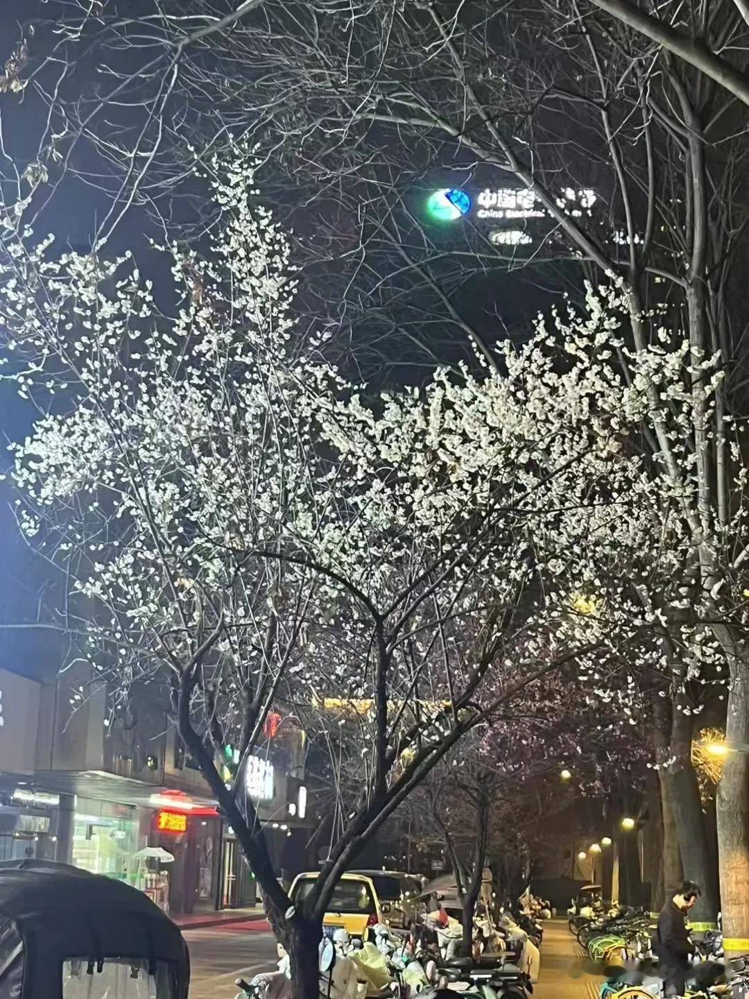 西安的桃花开了。实话实说，真的有点想西安了。2022年5月21号离开西安就再也没