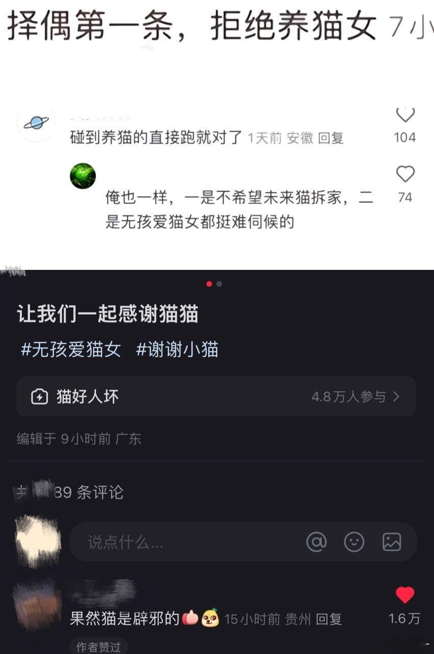 投：让我们说“谢谢小猫”[努力] 