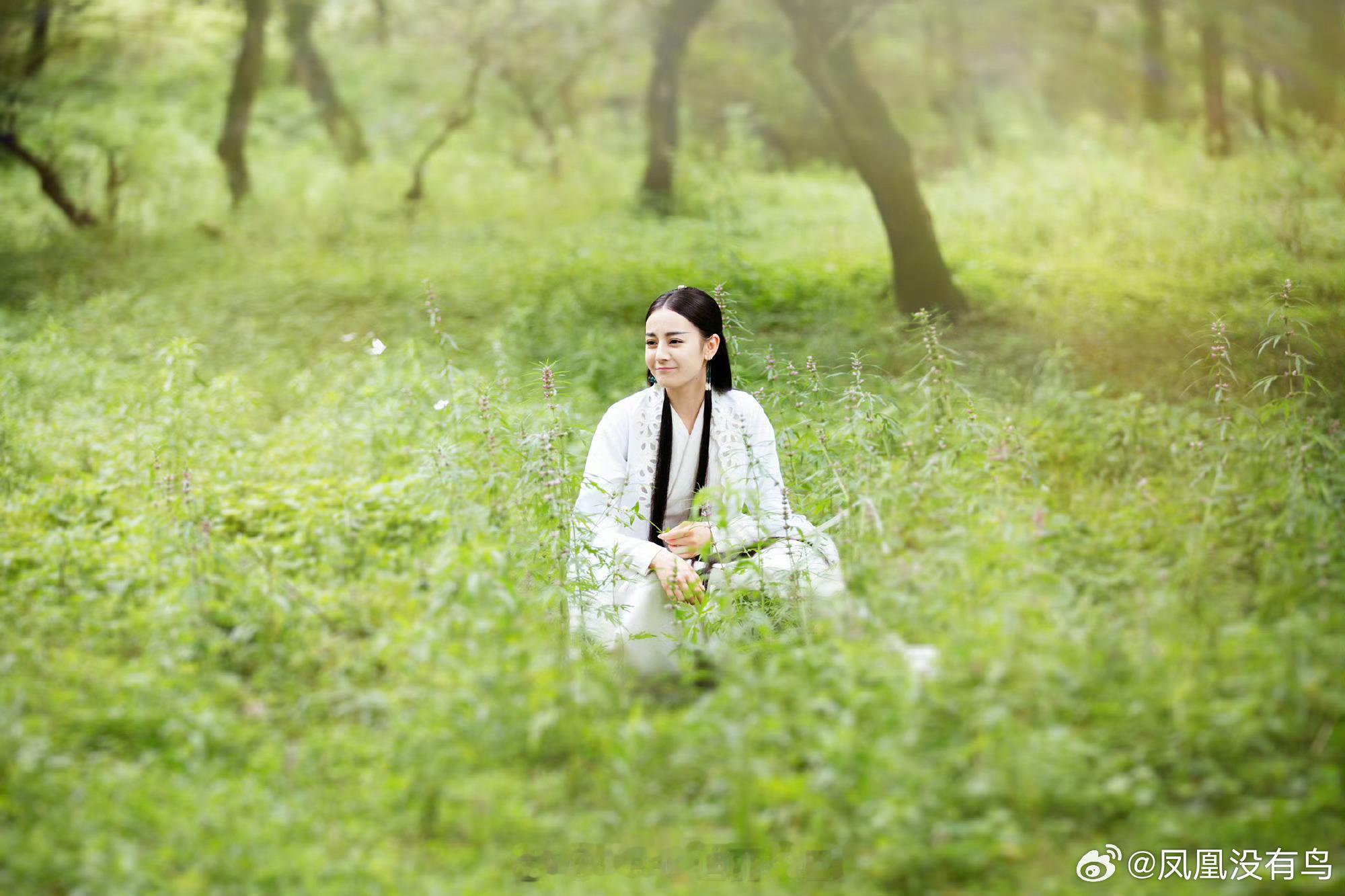 你是喜欢这个绿海白衣巴呢还是想要这个花海红衣巴呢？迪丽热巴花海红衣 ​​​