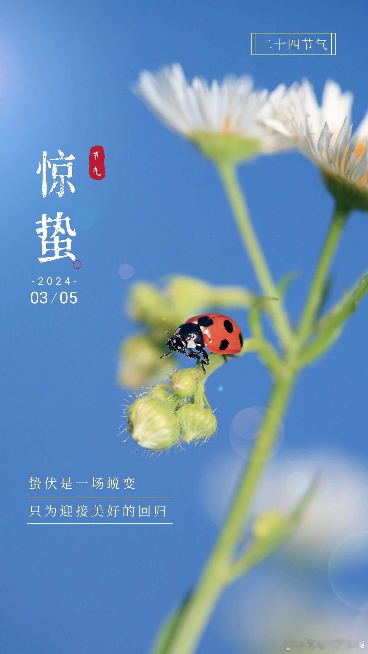 #惊蛰#春雷响，蛰虫动！一定要这么做！保你百病全消一年不生病！“春雷响，万物长”