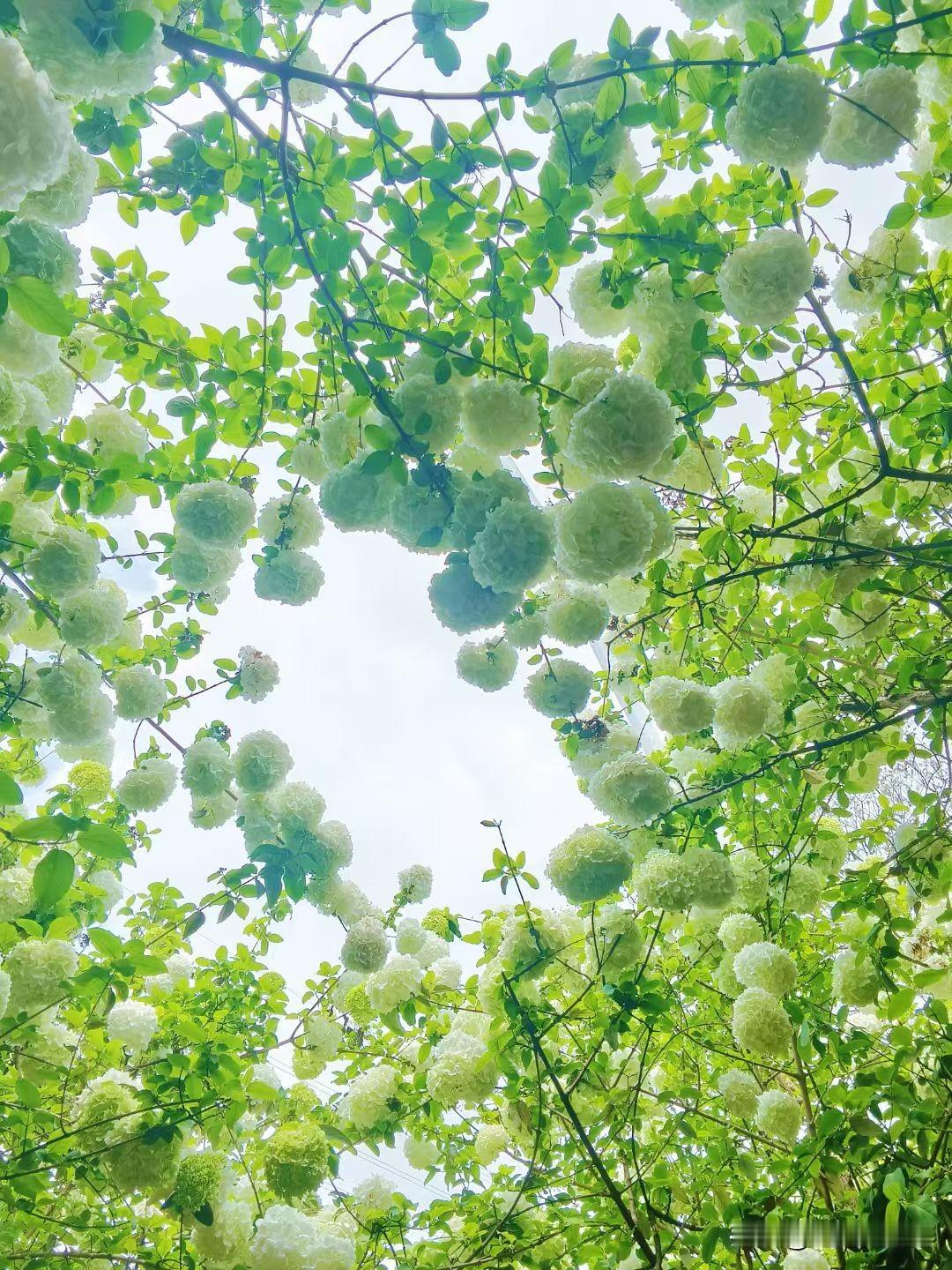 表哥这次堵赢了！
他是80后，比我大两岁。高高大大的，人也长的帅气，关键是脾气性