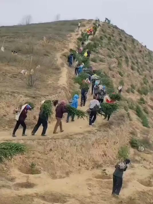 西北要绿不要绿！——
统一后，台du分子怎么办？
有人提议送到西北种树。我强烈反