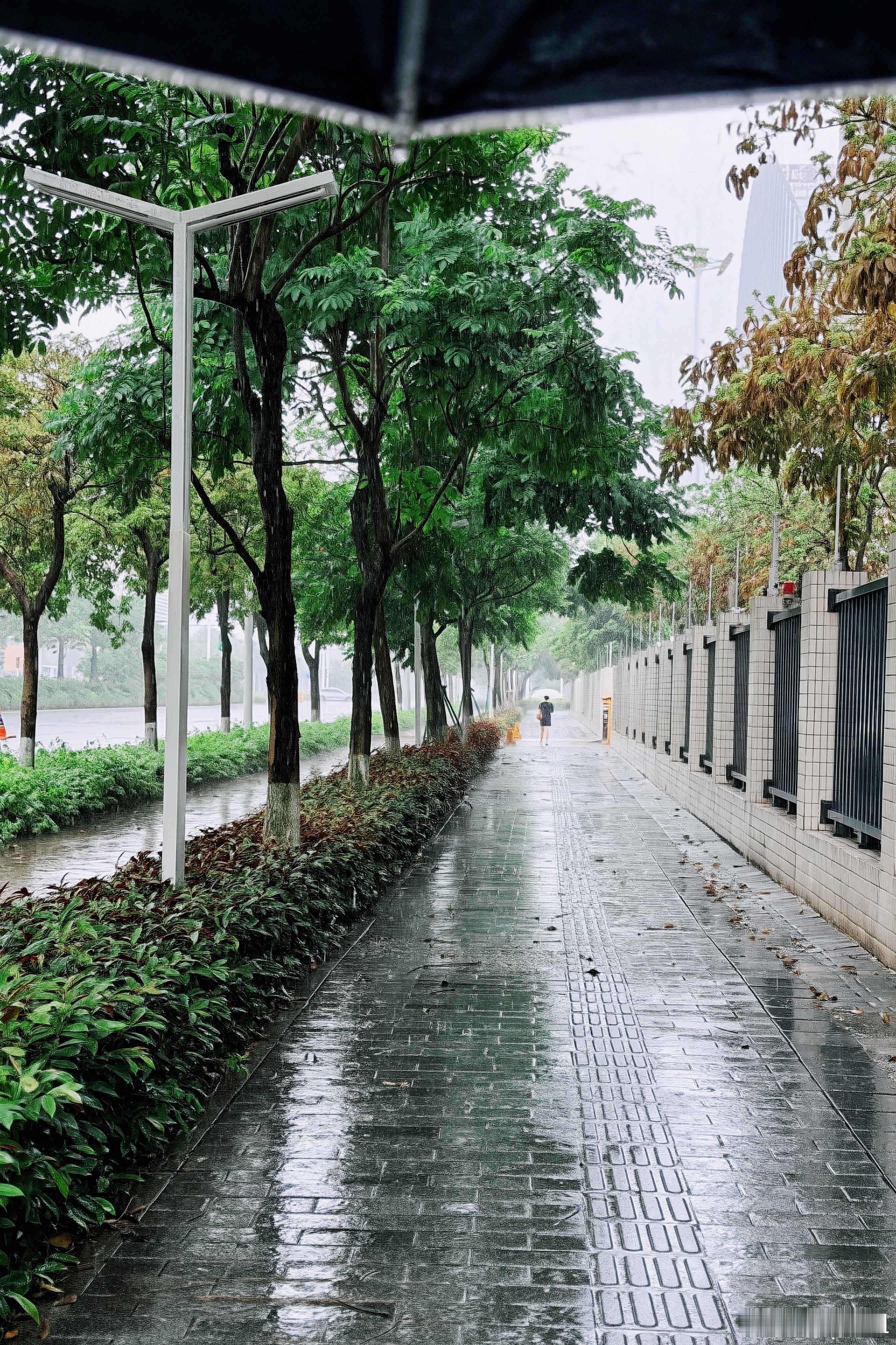 湿漉漉的下雨天也是一种广东特色~ 