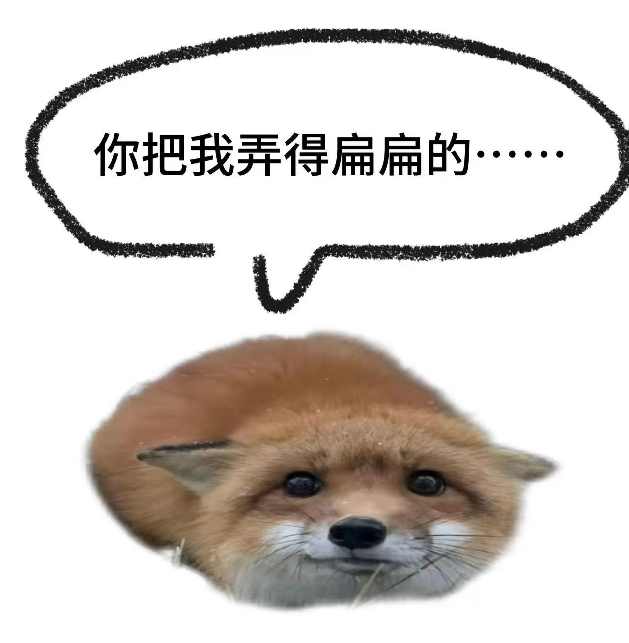 “你把弄得很扁” 