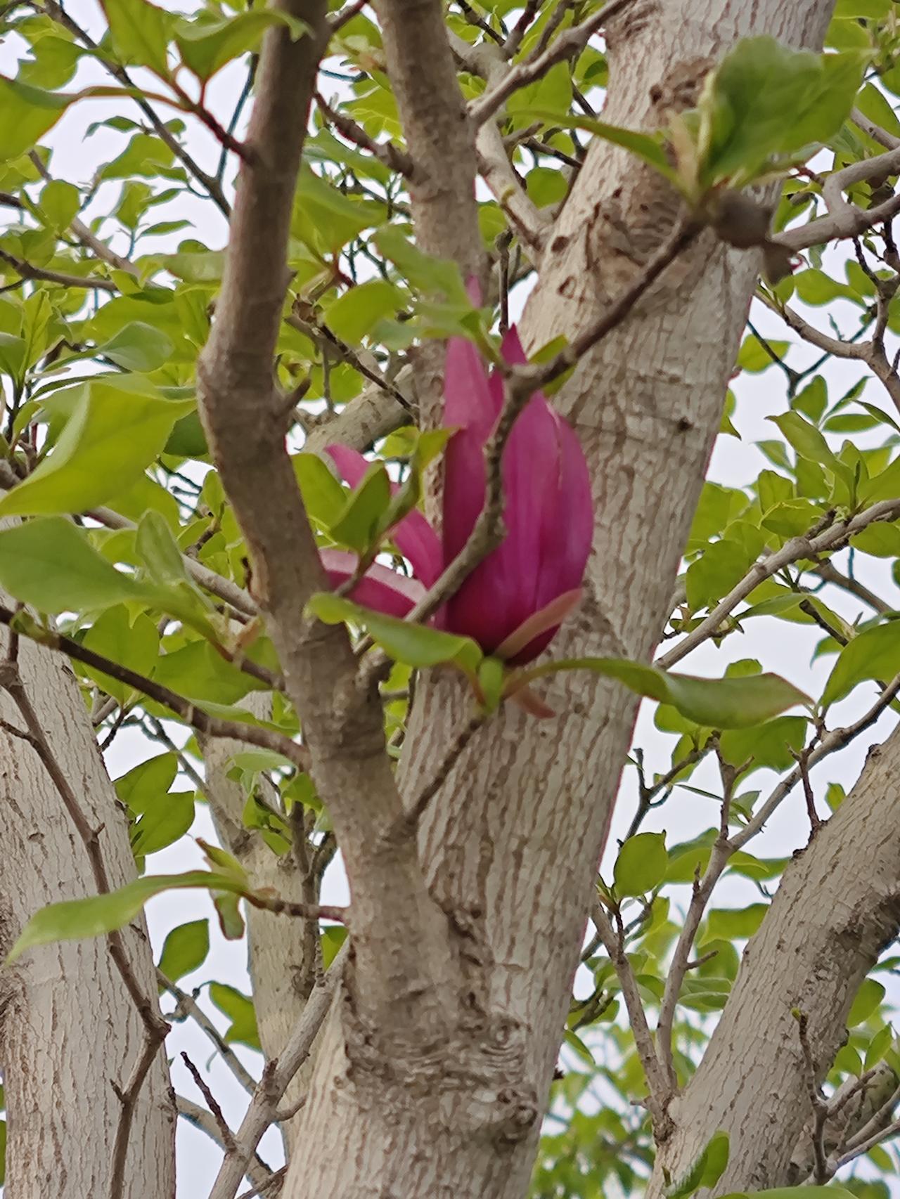 聪明的人很少给别人添麻烦，当他们遇到困难和挫折的时候，他们会用自己的意志力，在夹
