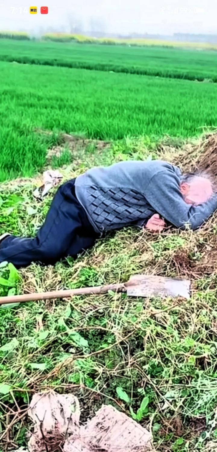 泪目！一位年迈的父亲执意要去给父母上坟，祭拜完后，直接趴在坟前失声痛哭，这一幕朴