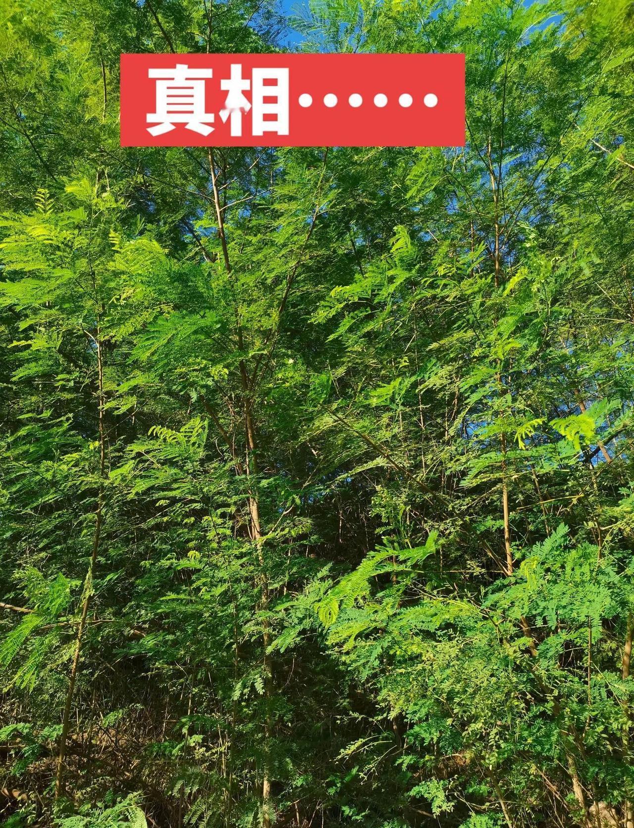 上热门 野游 爬山推荐 登山 新发现