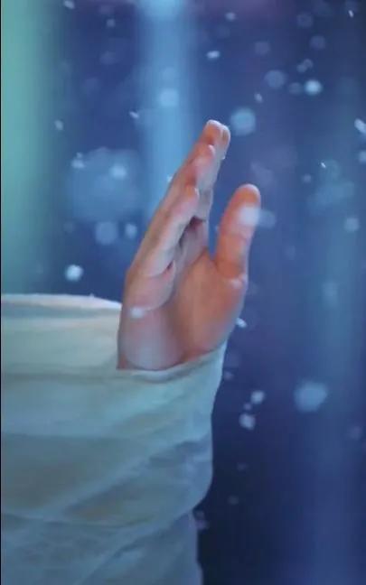 今朝若是同淋雪，此生也算共白头。
白头若是雪可替，世间何来苦心人。
天津的雪还未