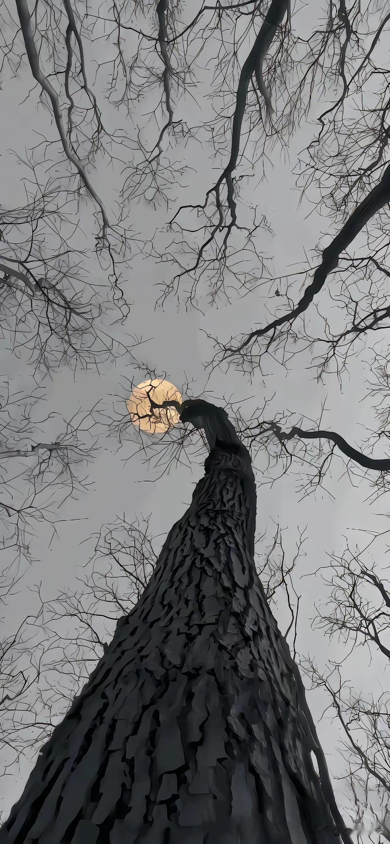 你心态好，就可以搞别人心态，
你心态不好，就只能被别人搞心态。