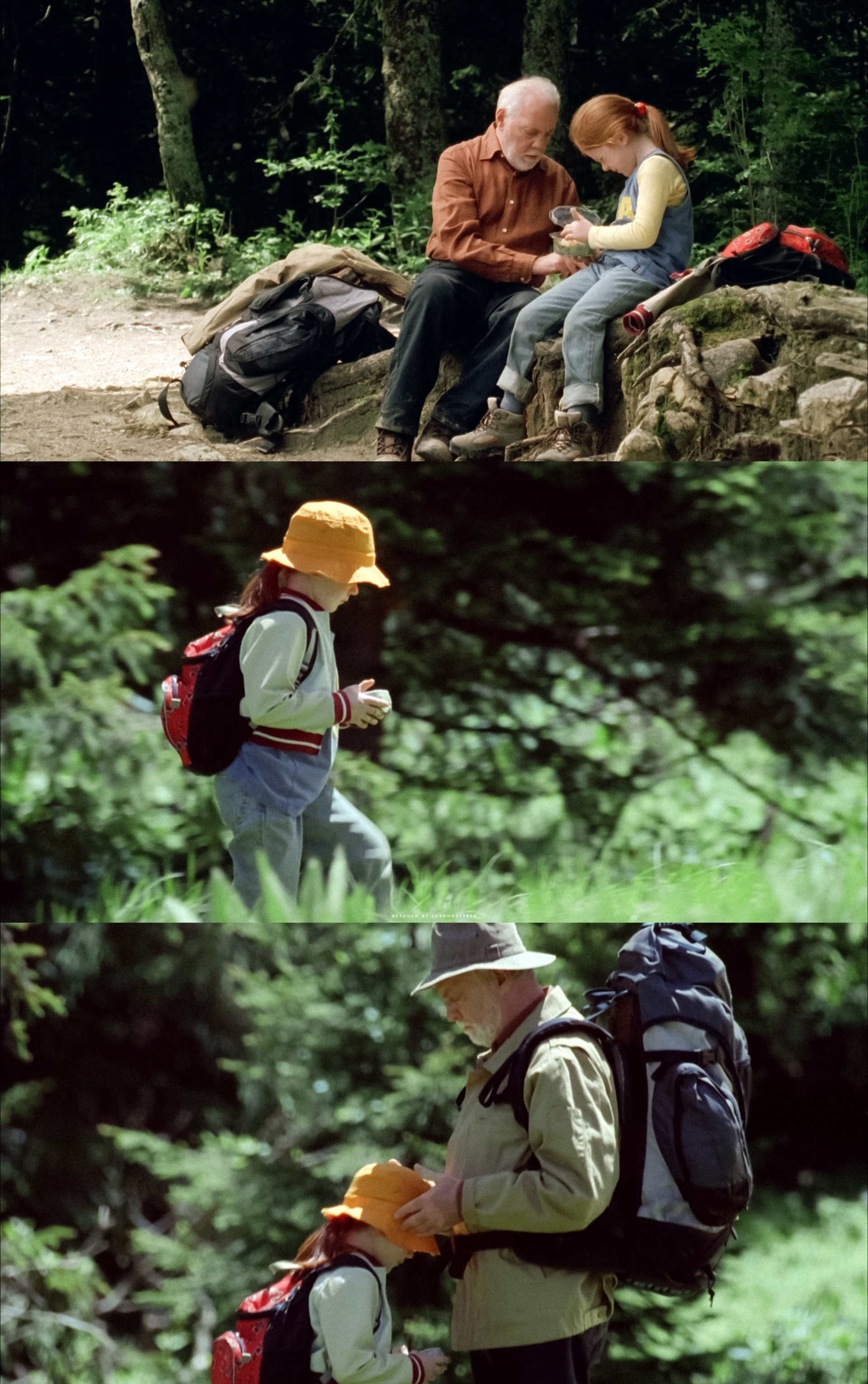 🎞️蝴蝶 Le papillon (2002)蝴蝶是传递情书的邮递员🦋🍃 