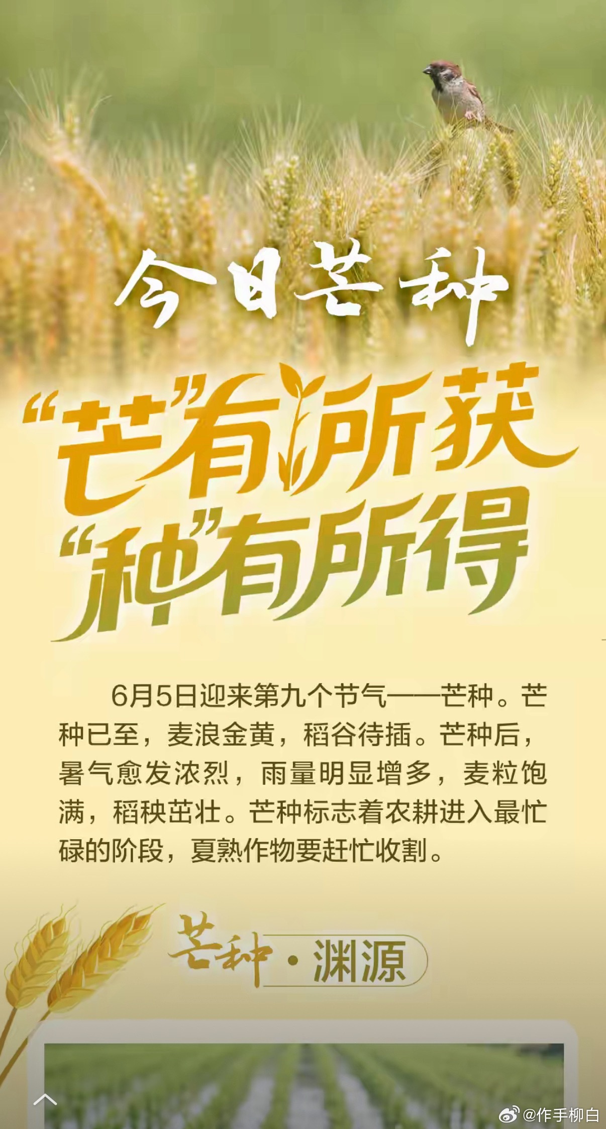 下只千里马已计划好点赞到200分享计划想要的兄弟点赞178