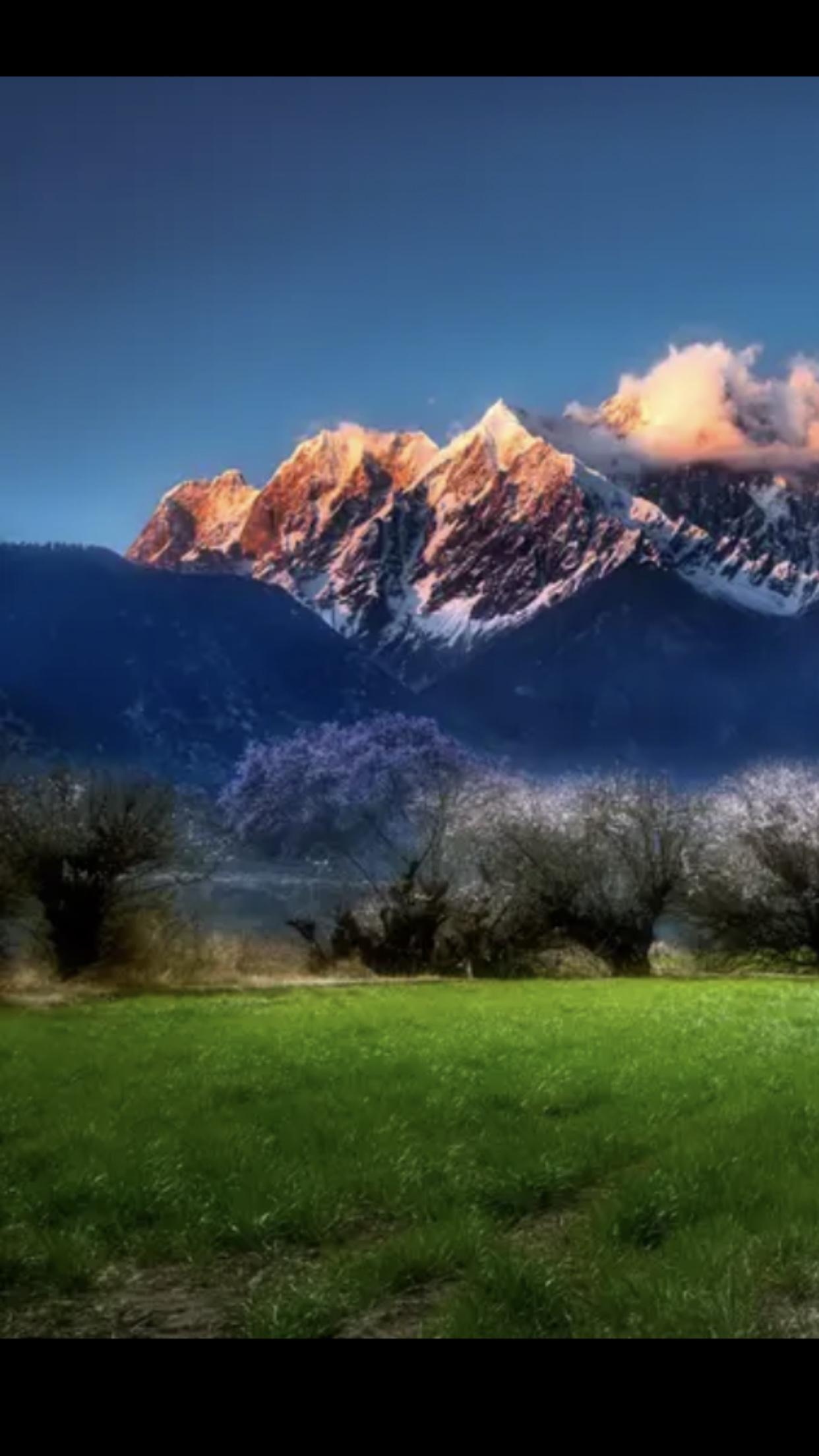 《电动汽车充电设施超1800万个！中国“充电自由”时代正式到来》

一文精准捕捉