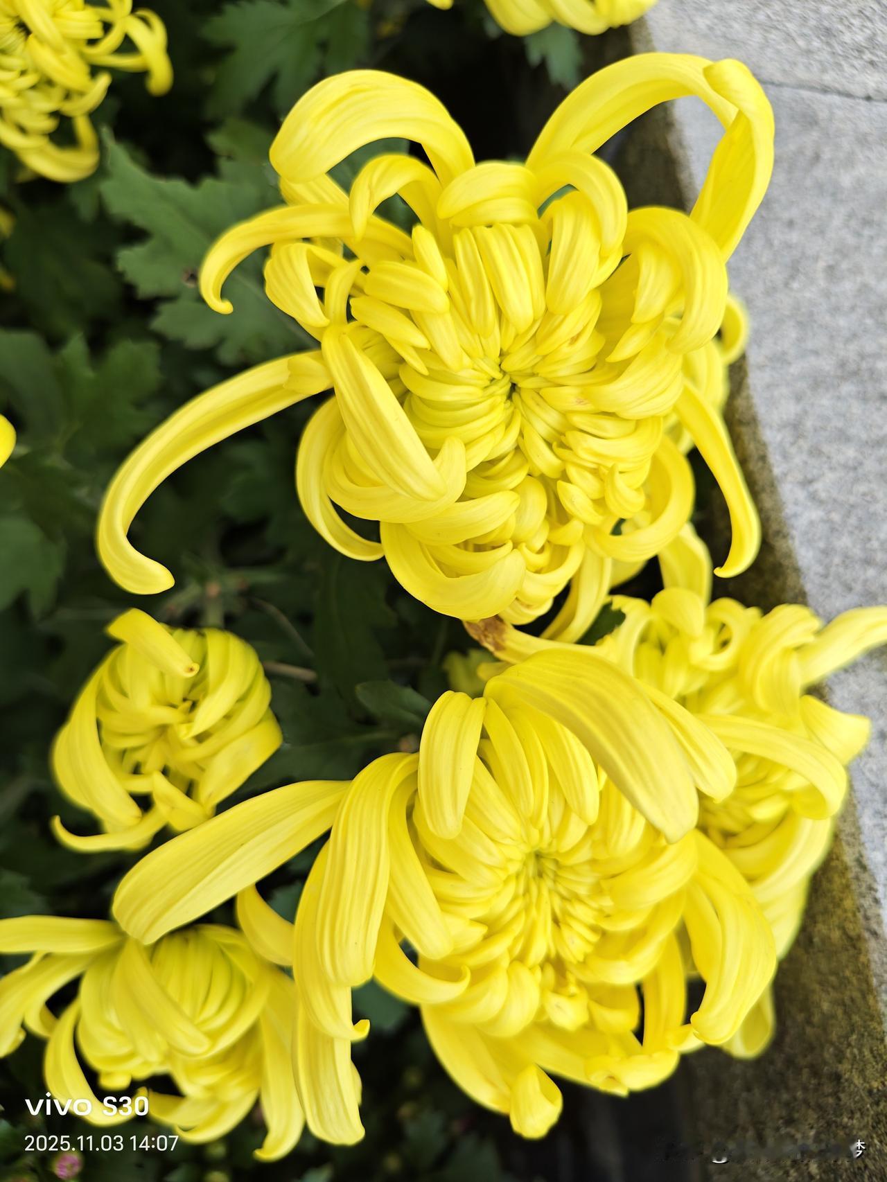 晒晒家乡的天空