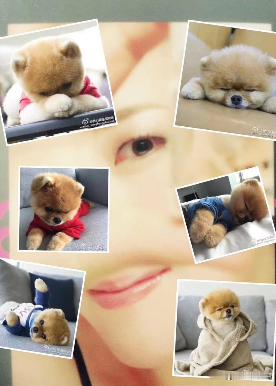 国际大事对女生有何帮助？

哟也是女生，我觉每个女生都得了解，越了解早，你就越通