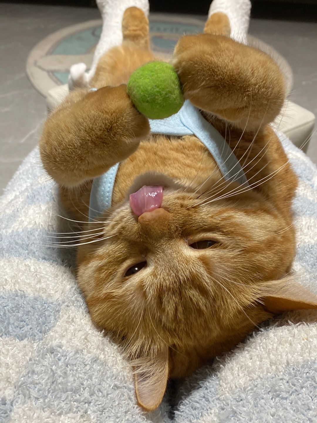 普拉提小球锻炼🏋️