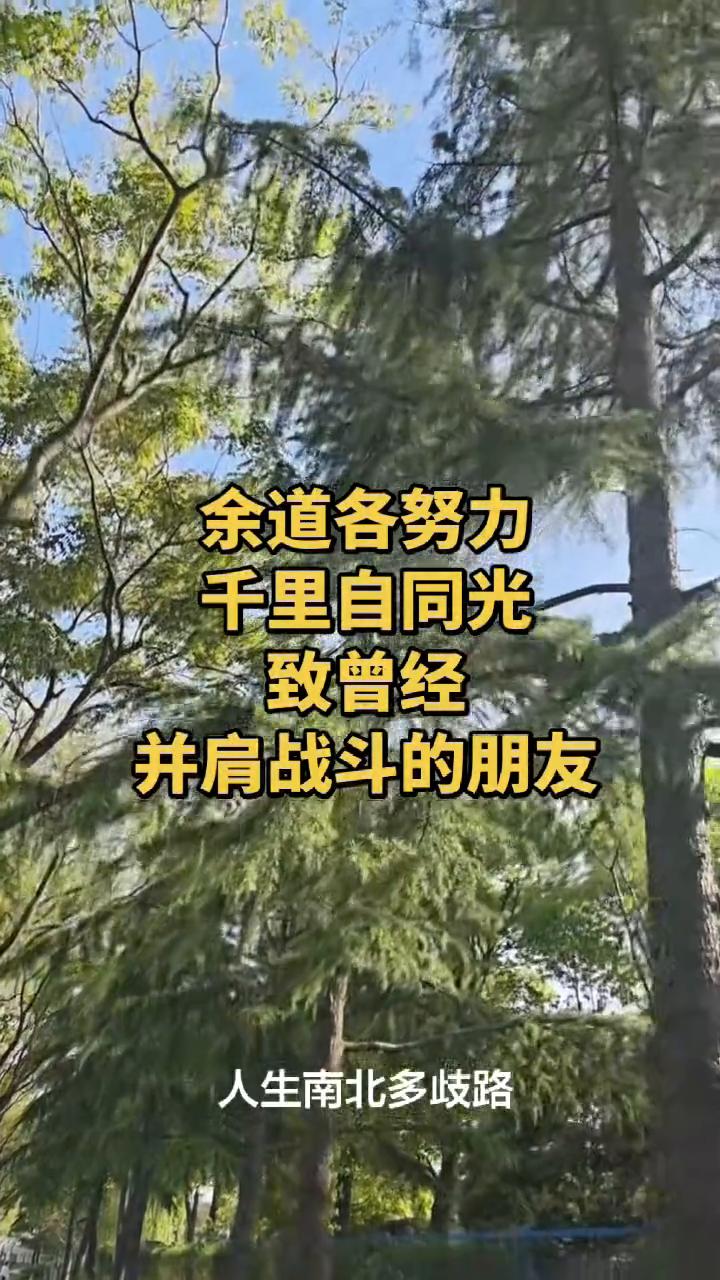 很多人没再见面，很多人不再联系。人生南北多歧路，君向潇湘我向秦。此后人间多宽敞，