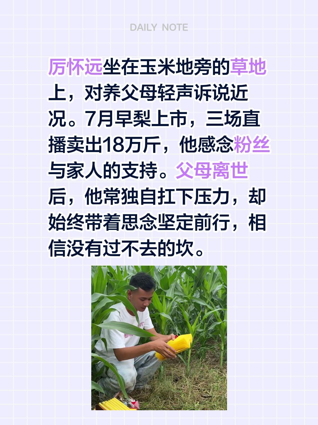 厉怀远坐在玉米地旁的草地上，对养父母轻声诉说近况。7月早梨上市，三场直播卖出18