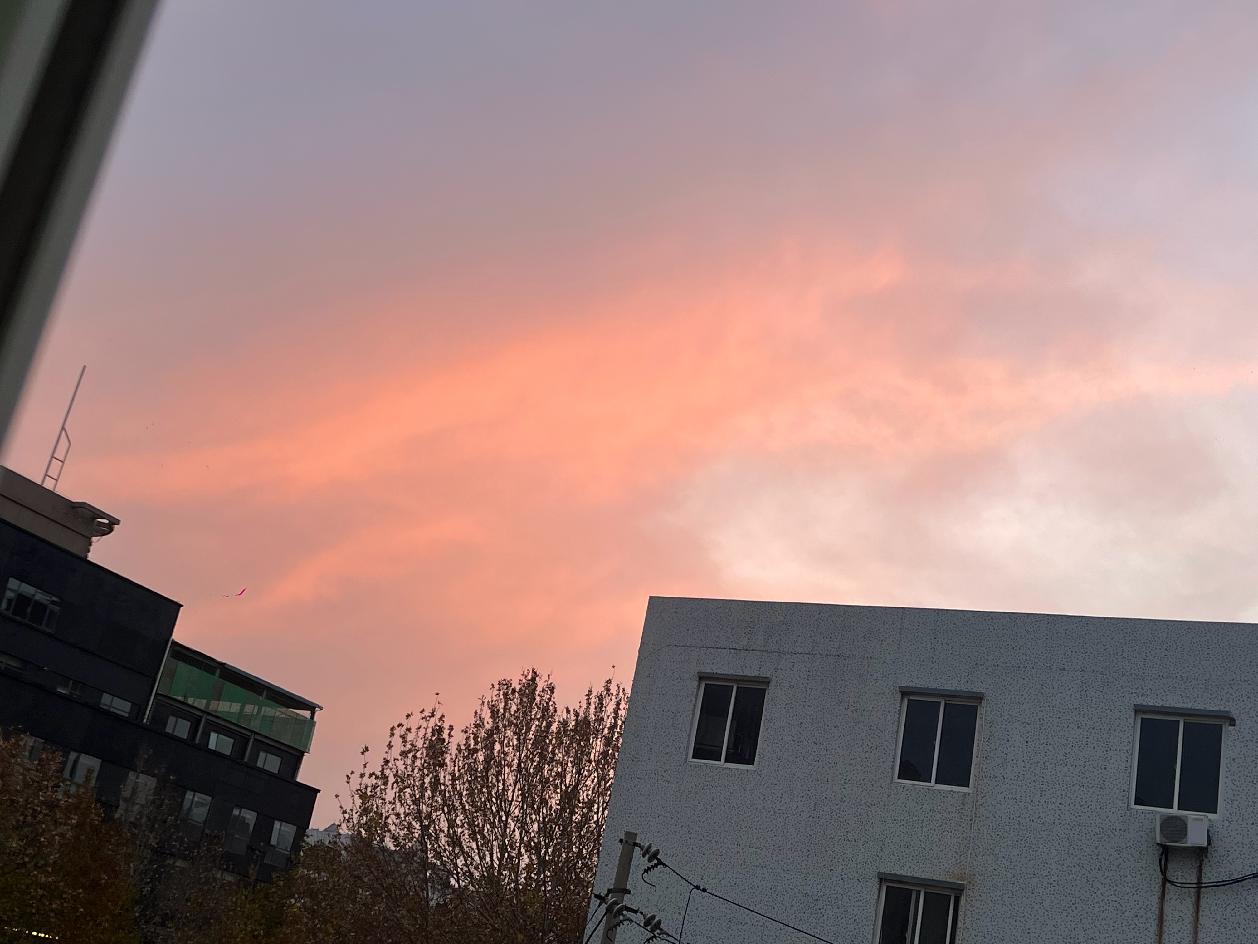 风此刻很甜（其实大的很能把头发吹成狮子王的那种） 