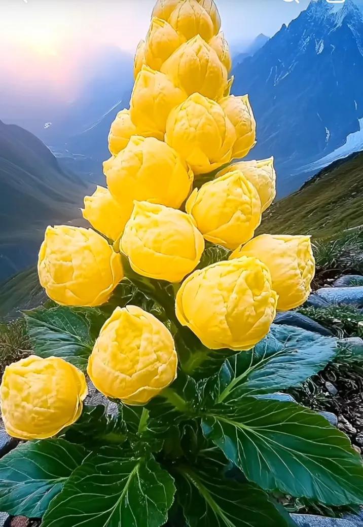 #解决孤独的最好良药是什么#解决孤独的最好良药可能有以下几种：
 
一、社交互动