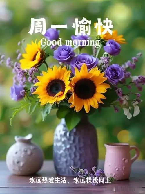 🍃꧂🌞早上好💕᭄🌿☕️
           𝒢𝑜𝑜𝒹 𝓂𝑜