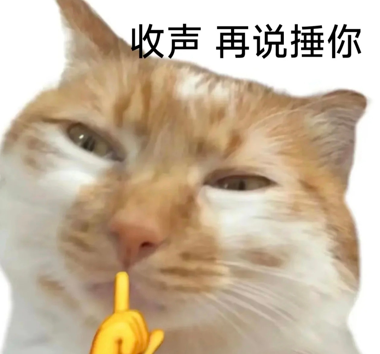 百果园称不会迎合消费者 爹味这么浓当什么老板……他的成功在座的都有责任 ​​​