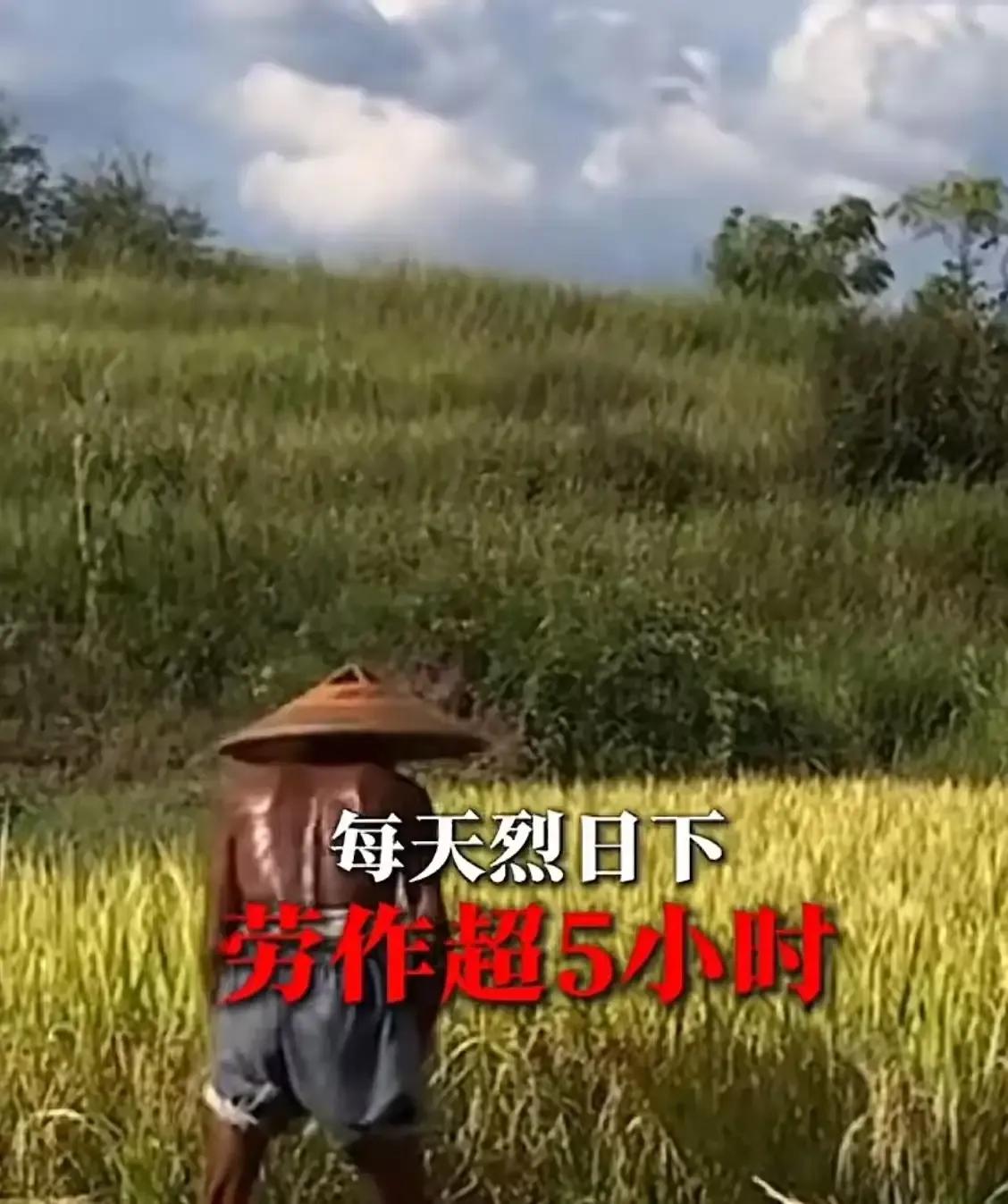 有人提议给1.3亿农村老人多发一点养老金，却遭到反驳“他们没有交过社保，给他们发