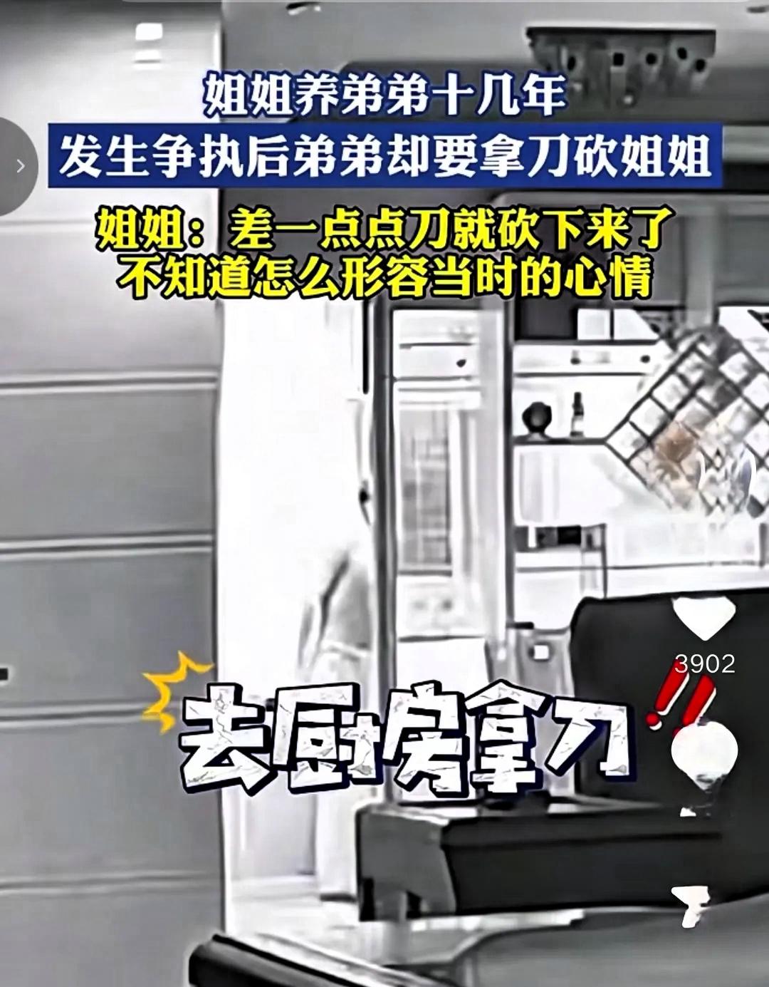 姐姐养弟弟十几年，发生争执后弟弟却要拿刀砍姐姐。

姐姐表示事发时刀具险些伤及自