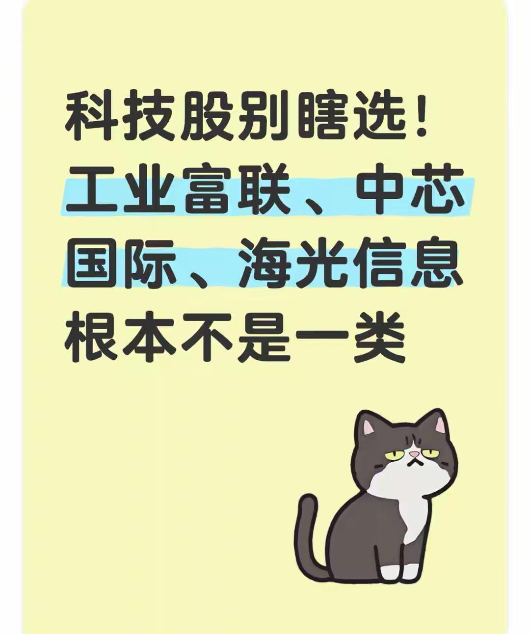不少老股民看科技股只认“芯片”标签，觉得工业富联、中芯国际、海光信息都是一路货色
