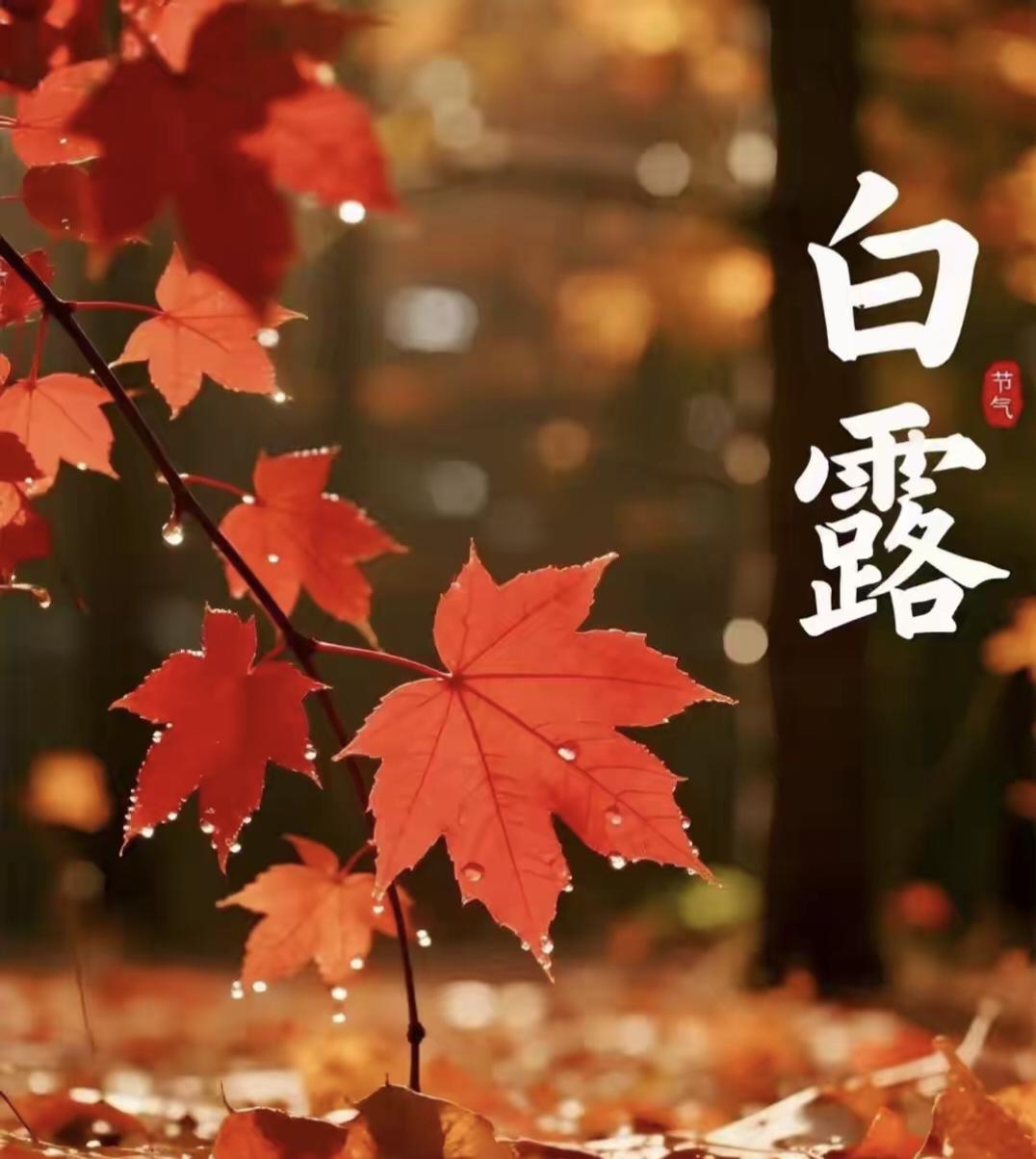 明日白露"凶日", 提醒中老年: 1要戴, 2要坐, 忌3样，4多吃，别大意
